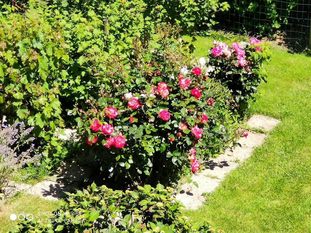 Les Chambres Des Badious Plerguer Bed & Breakfast